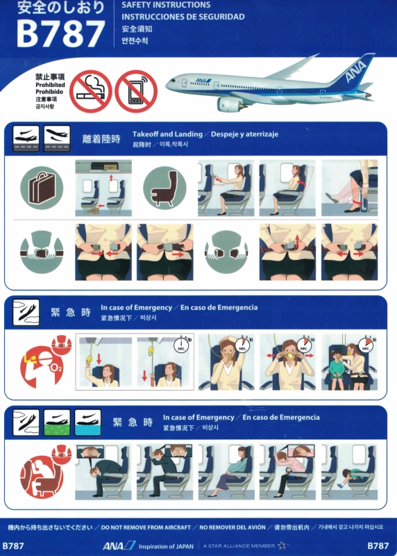 ANA B787